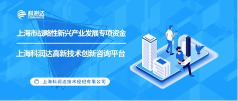 上海市戰略性新興產業發展專項資金申報要點與技術咨詢指引